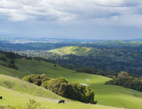 Best solar companies in the Bay Area